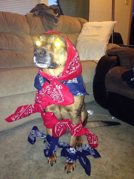 Acid Picdump (147 pics)