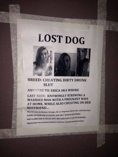 Acid Picdump (147 pics)