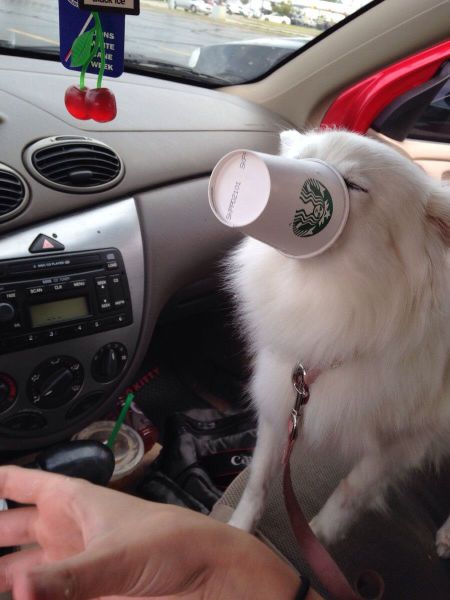 Acid Picdump (147 pics)