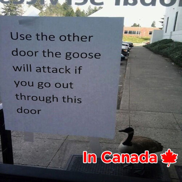 Life In Canada Compared To Everywhere Else (32 pics)