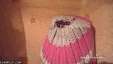 Acid Gifdump, August 25, 2014 (25 gifs)