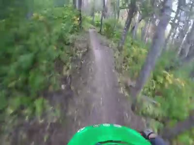 Biker Scary Encounter During A Forest Ride