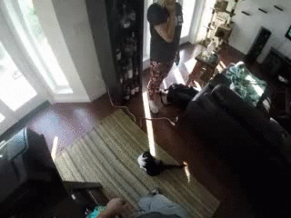 Acid Gifdump, August 26, 2014 (25 gifs)