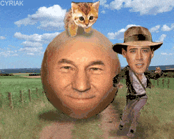 Acid Gifdump, August 26, 2014 (25 gifs)