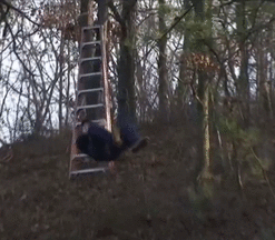 Acid Gifdump, August 26, 2014 (25 gifs)