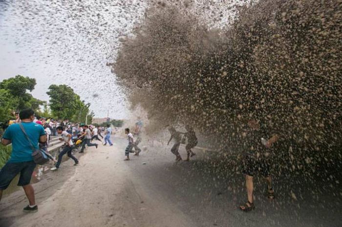 Tidal Wave In China Catches Citizens By Surprise (19 pics)