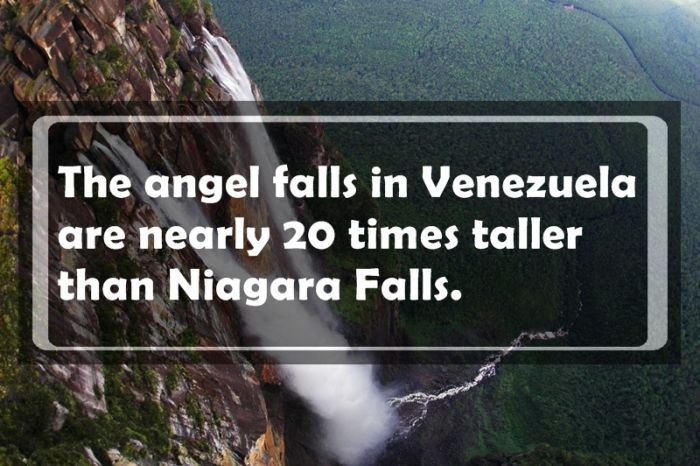 Useless Facts That Might Come In Handy Someday (24 pics)