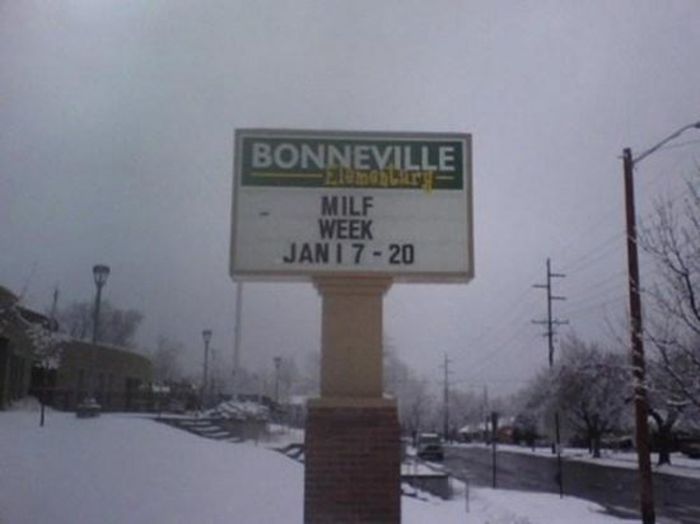 WTF Signs. Part 45 (34 pics)