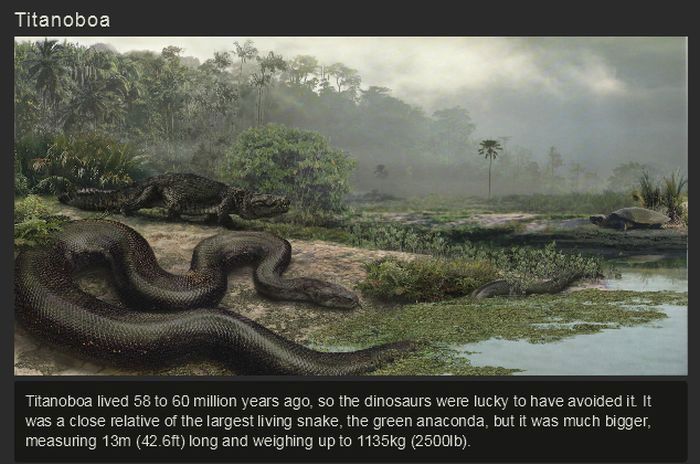Ancient Animals That Once Ruled The Earth (15 pics)