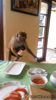 Did It Ever Happen to You When... Part 104 (16 gifs)