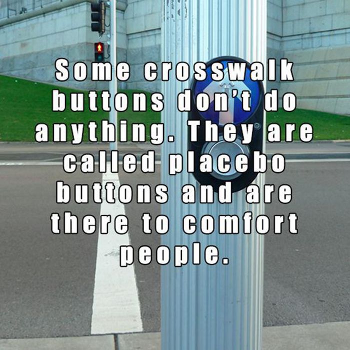 These Facts Will Change Your World (15 pics)