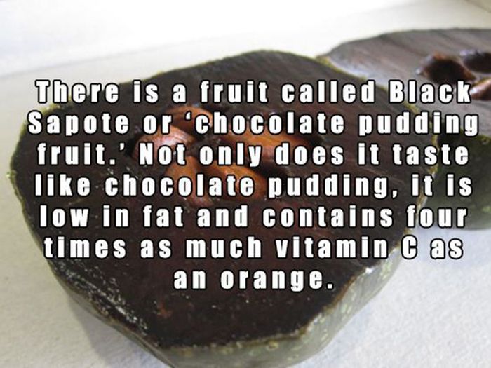 These Facts Will Change Your World (15 pics)