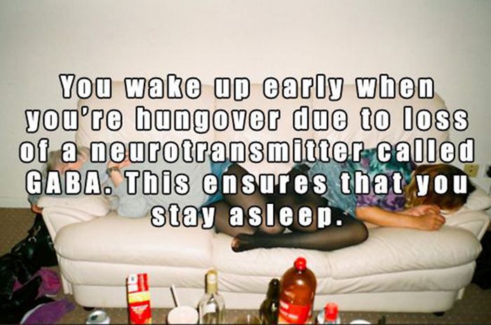 These Facts Will Change Your World (15 pics)