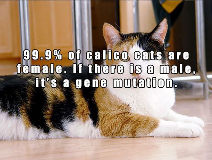 These Facts Will Change Your World (15 pics)