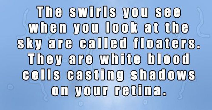 These Facts Will Change Your World (15 pics)