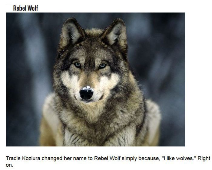 You Won't Believe These Names Are Real, But They Are (11 pics)
