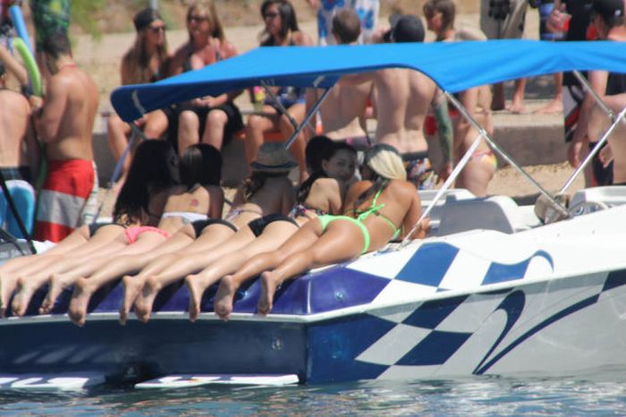 Welcome to Lake Havasu (67 pics)