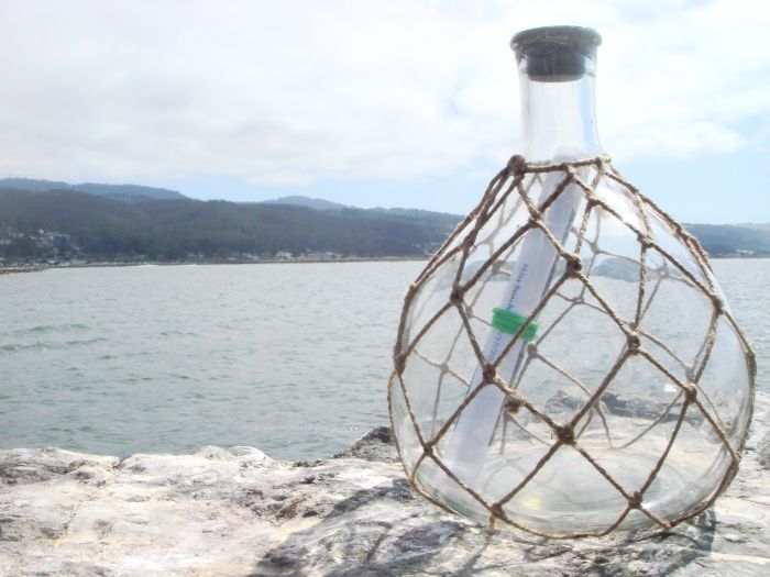 Amazing Message Found In A Bottle (14 pics)