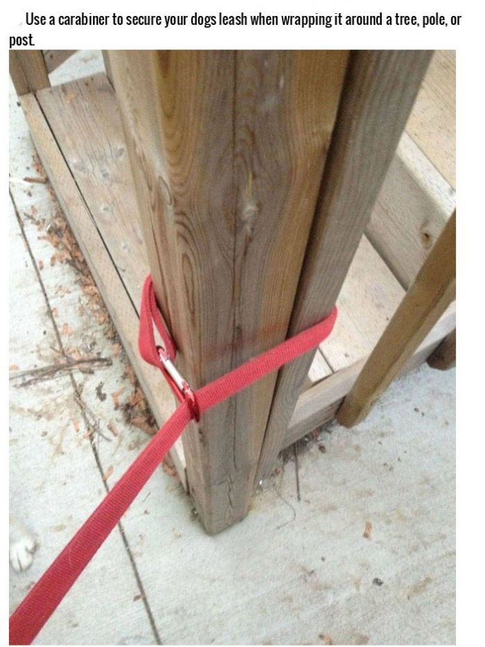 Life Hacks For Dog Owners (15 pics)