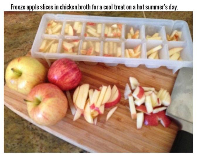 Life Hacks For Dog Owners (15 pics)