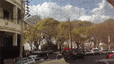 Locust Swarm Takes Over Madagascar (6 pics)