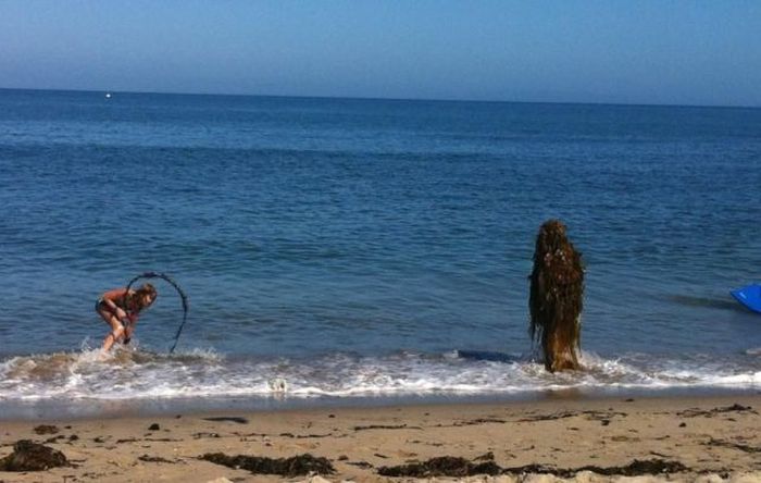 Acid Picdump (96 pics)