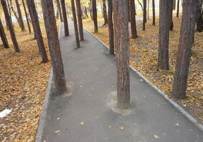 Acid Picdump (96 pics)