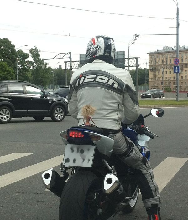 Acid Picdump (96 pics)