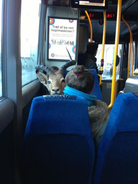 Acid Picdump (96 pics)