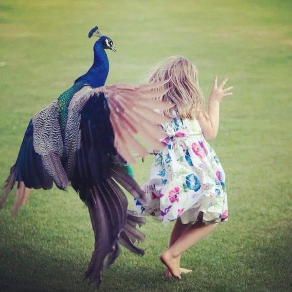 Acid Picdump (96 pics)