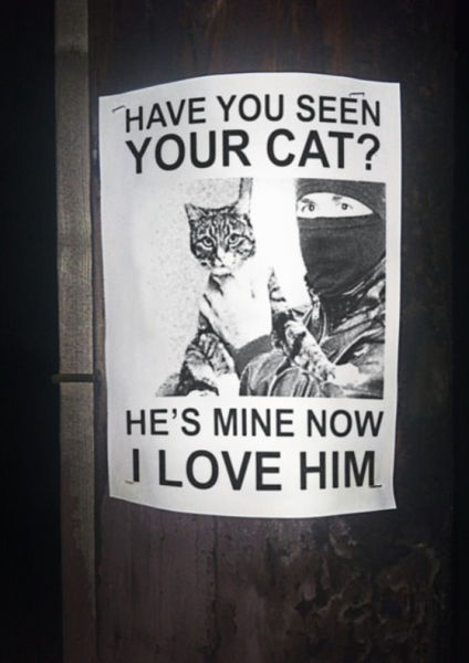 Acid Picdump (96 pics)