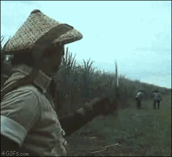 Over The Top Bollywood Film Stunts (24 gifs)