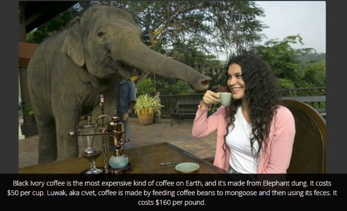 Cool Facts You Probably Don't Know About Coffee (16 pics)