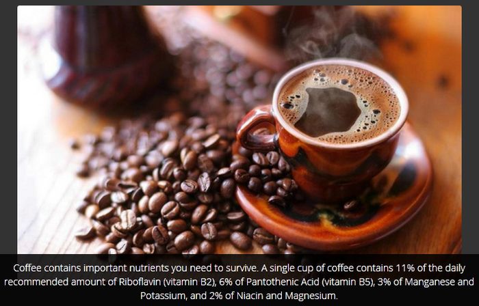Cool Facts You Probably Don't Know About Coffee (16 pics)