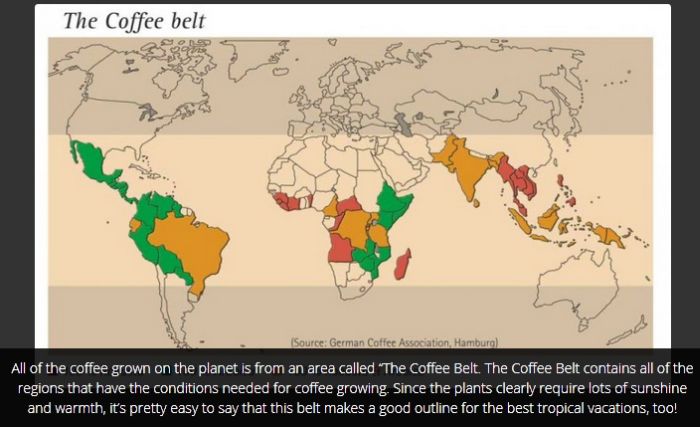 Cool Facts You Probably Don't Know About Coffee (16 pics)