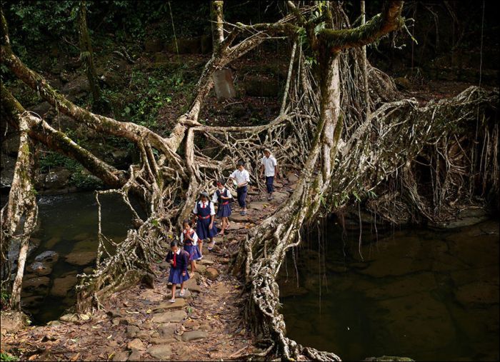 Incredible Journeys Kids Take To Get To School (25 pics)