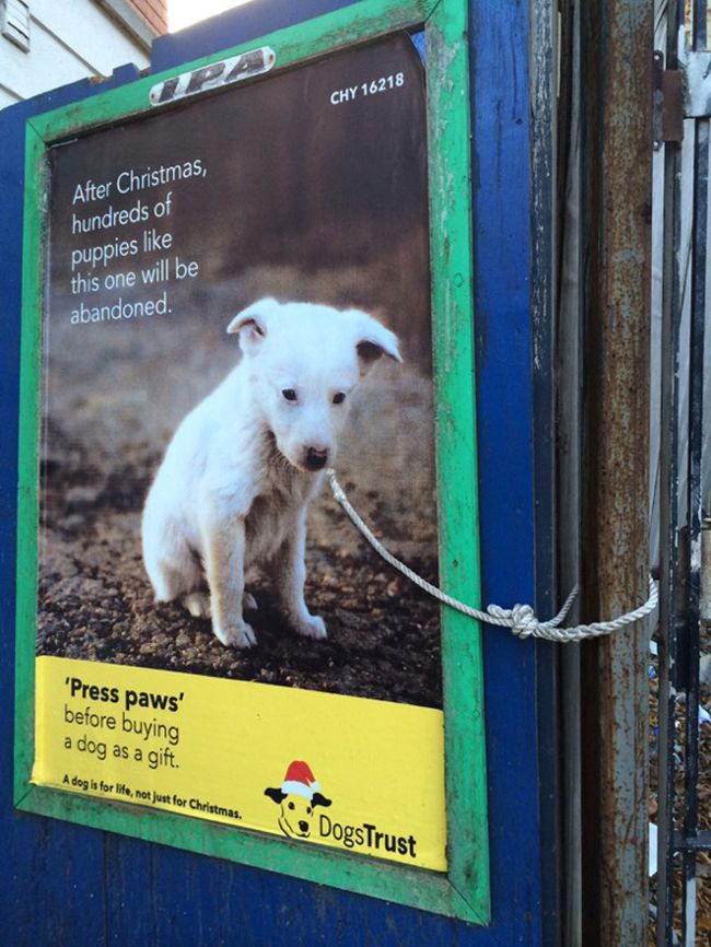 These Ads Could Change The Way You See The World (26 pics)