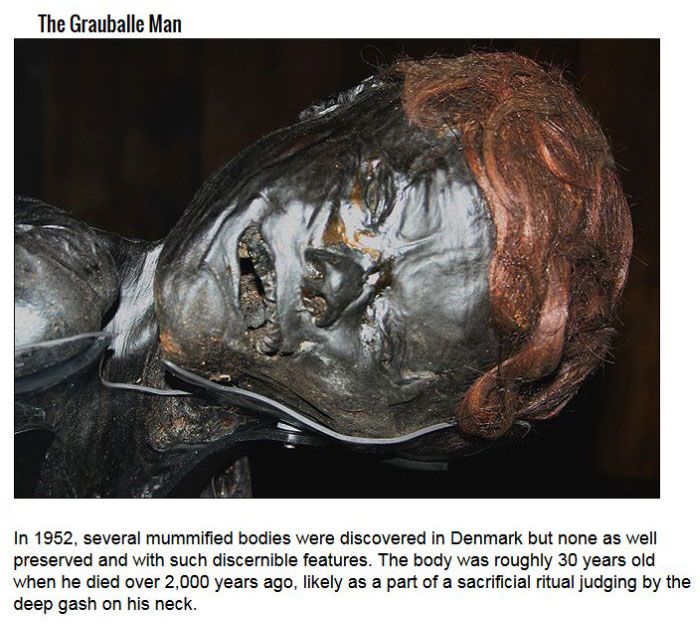 There Are Secrets Inside Of These Corpses (10 pics)