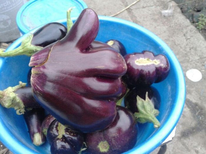 Acid Picdump (102 pics)