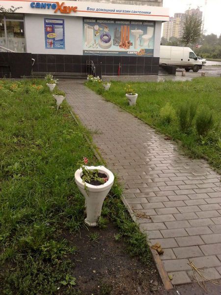 Acid Picdump (102 pics)