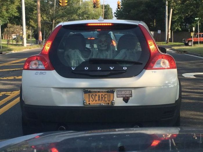 Acid Picdump (102 pics) Acid Picdump (102 pics)