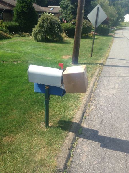 Acid Picdump (102 pics)