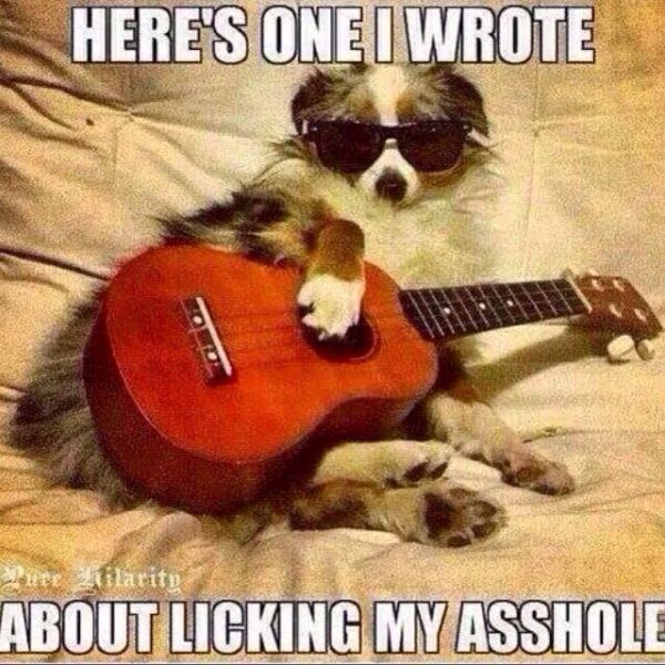 Acid Picdump (102 pics)