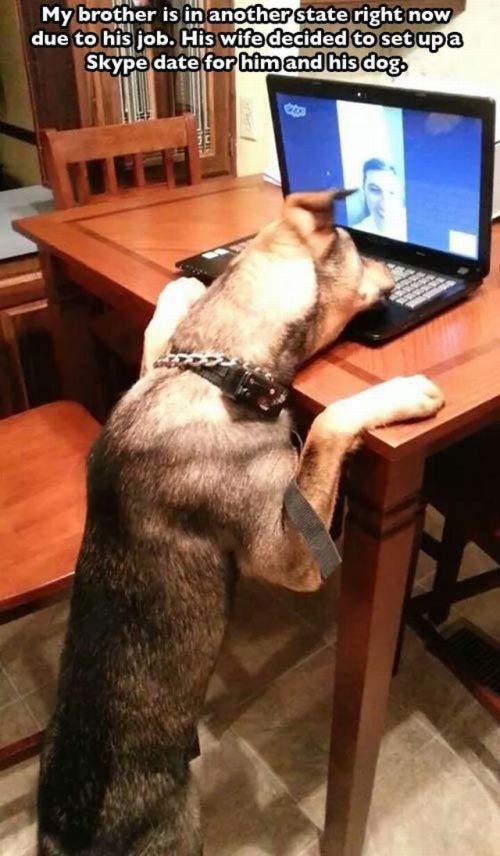 Acid Picdump (102 pics) Acid Picdump (102 pics)