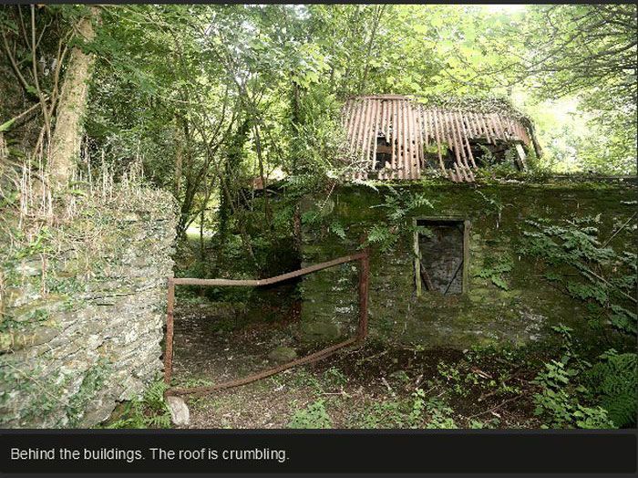 Exploring An Abandoned House (25 pics)