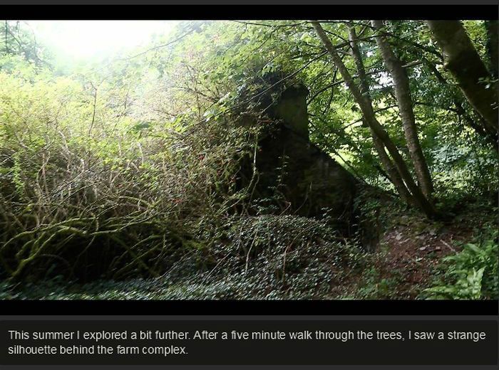 Exploring An Abandoned House (25 pics)