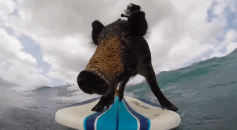 Acid Gifdump, September 5, 2014 (25 gifs)