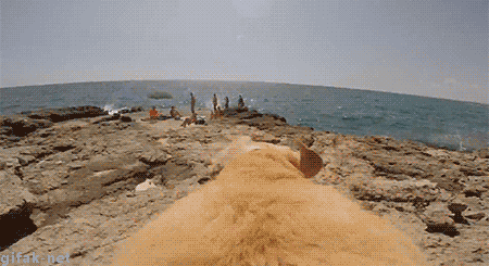Acid Gifdump, September 5, 2014 (25 gifs)