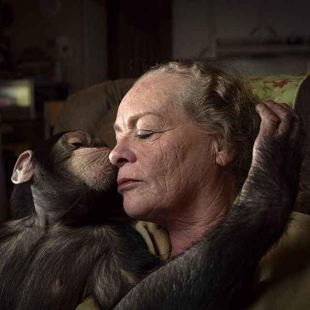 Why You Need To Follow National Geographic On Instagram (40 pics)