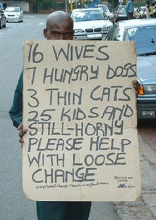 Funny Homeless Signs (28 pics)